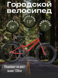 ��������� ��������� ��� ���������� EZ-BK001R, �������, ������� ����� 24 ����� 