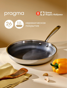 ��������� Pragma Seten �� ����������� ����� 3-ply � ������������ ��������� 26 �� 